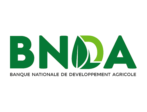 Banque Nationale de Développement Agricole Logo